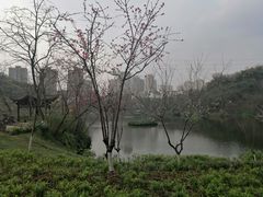 -重庆彩云湖湿地公园