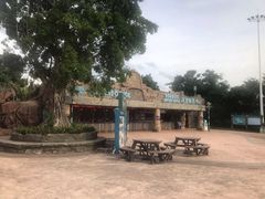 -美的鹭湖探索王国