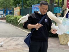 -国色天乡三期陆地乐园