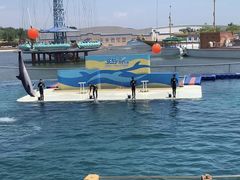 -秦皇岛乐岛海洋王国