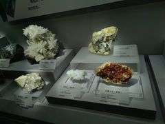 -湖南省地质博物馆