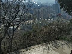 -望溪公园
