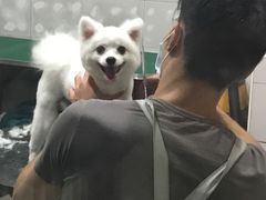 -酷狗靓猫宠物·洗护·美容·寄养(航北路店)