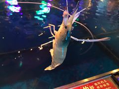 -钳真多钓虾馆·小龙虾海鲜烧烤(九六广场店)