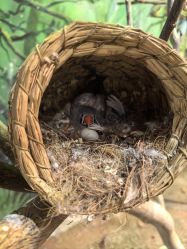 -Zoolung Zoolung动物主题公园(海信广场店)