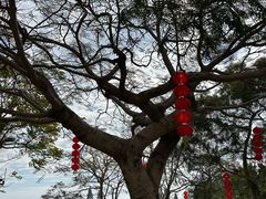-胡里山炮台