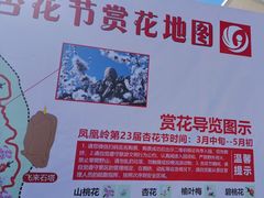 -北京凤凰岭
