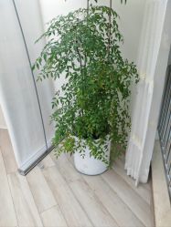 -HEYAN荷妍专业脱毛连锁机构