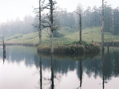 -瓦屋山景区