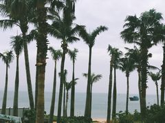 -东澳岛