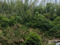 -长沙黑麋峰国家森林公园