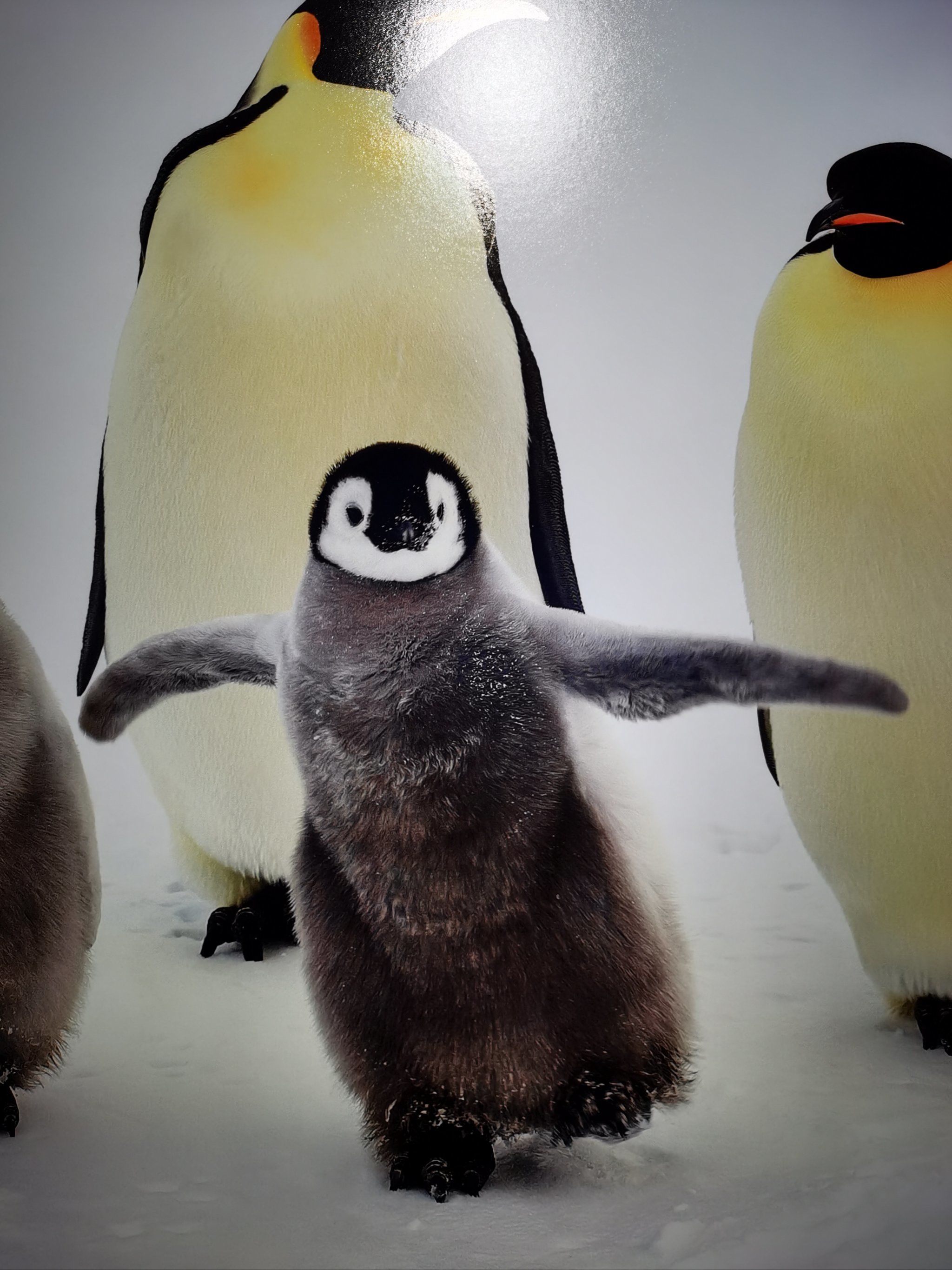 城市玩家养成计划| 北京看展| 罗红摄影艺术馆92