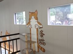 -豆逗聊愈猫阁Easy Life