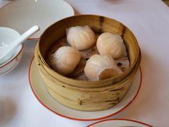 -咖啡苑 - 蔚藍夏日限定主题(永利皇宫店)