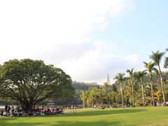 -梧桐山风景名胜区