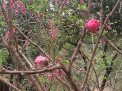 -广东外语外贸大学(白云山校区)