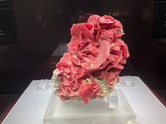 -湖南省地质博物馆