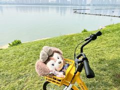-东湖生态旅游风景区