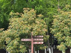 -南汇新城城市公园