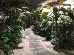 -泉城欧乐堡戏水湾艺术养生温泉