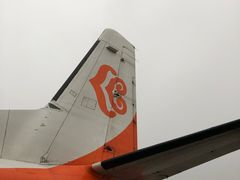 -长沙黄花国际机场-T1航站楼