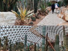 -上海辰山植物园