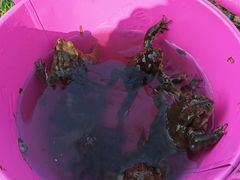 -共青国家森林公园-售票处