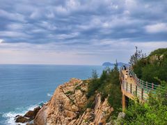 -广东惠东海龟国家级自然保护区