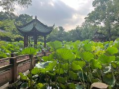 -房湖公园
