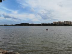 -鹤之洲湿地公园