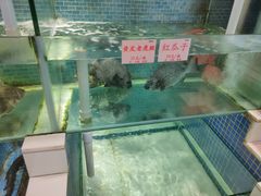 -东国海鲜火锅城(氹仔店)