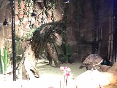 -zoonana室内动物园(东方福来德店)