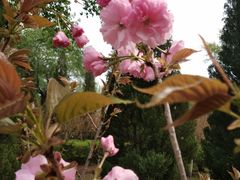 -长白岛森林公园