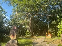 -瑞丽独树成林风景区