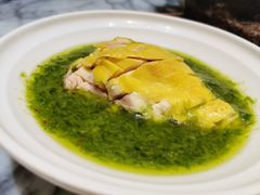 -青雅中餐厅(大连金石滩绿发希尔顿度假酒店)