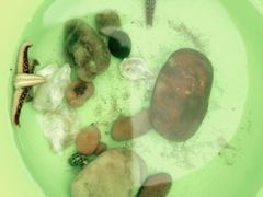 -日照灯塔风景区