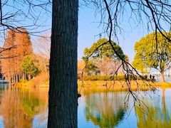 -尚贤河湿地