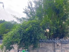 -印象泰和园(望丛西路店)