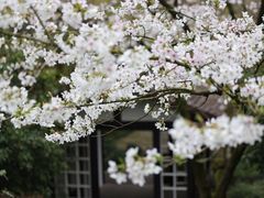 -中国茶叶博物馆(双峰馆区)