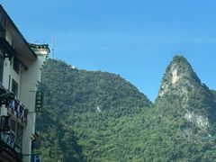-谢三姐金奖啤酒鱼(总店)