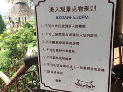 -大树秋千