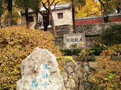 -浮来山风景区