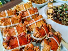 -乡乐园蟹庄·阳澄湖农家乐