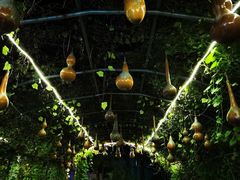 -百里峡七彩艺术小镇