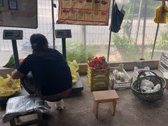 -马陆小张葡萄园农家乐