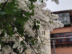 -汉长安城未央宫国家考古遗址公园