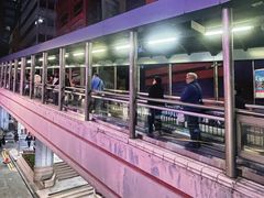 -中环半山扶手电梯