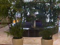 -葛记红焖羊肉(和平路形象店)