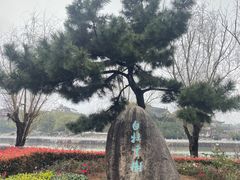 -八大山人梅湖景区