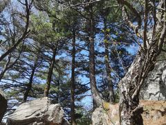-尧山风景区